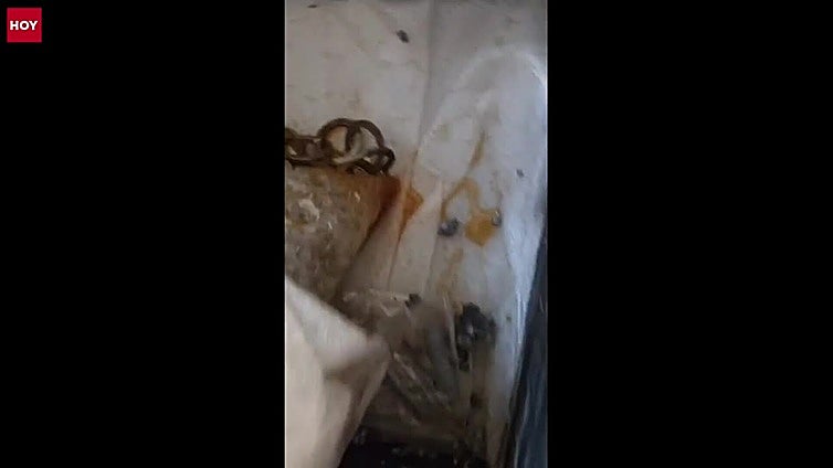 Una artista madrileña denuncia el "maltrato" a su obra, finalista en los Premios Ciudad de Badajoz