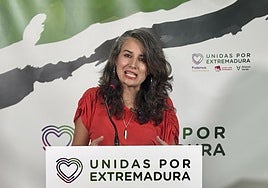 Irene de Miguel anuncia un plan para el olivar tradicional