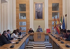 Consejo Sectorial de Comercio celebrado este miércoles.