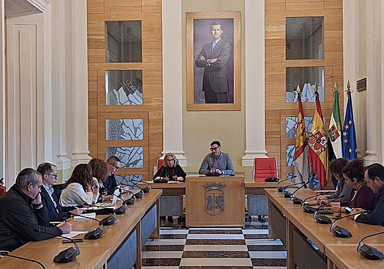 Consejo Sectorial de Comercio celebrado este miércoles.