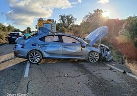 Estado en el que quedó el vehículo tras el siniestro mortal en la EX-102.