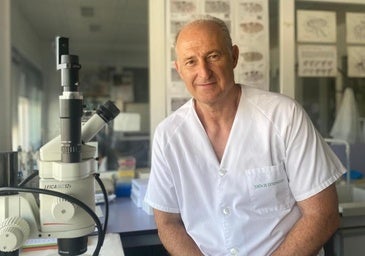 José-Marín Sánchez, veterinario: «El temor a que la peste porcina llegue a Extremadura está en el extensivo»