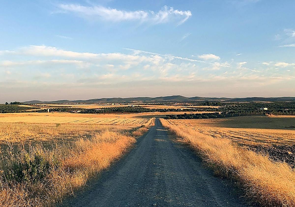 La oportunidad de una comarca