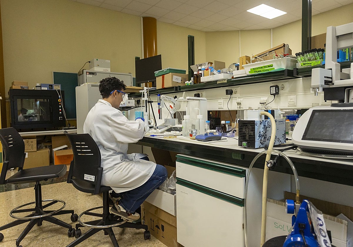 Uno de los laboratorios provisionales del CIIAE en la Escuela Politécnica de Cáceres.