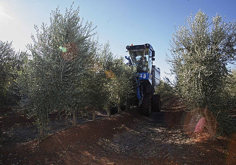 Garantizar la rentabilidad de las explotaciones