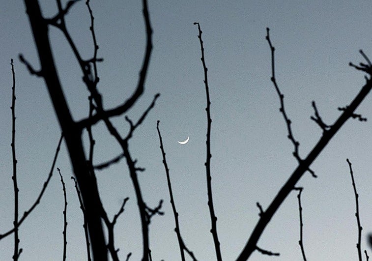 El invierno astronómico empieza este domingo 21 de diciembre: qué es, por qué ocurre y cómo nos afecta