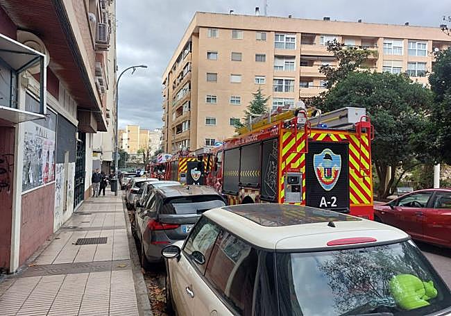 Bomberos en Francisco Luján.