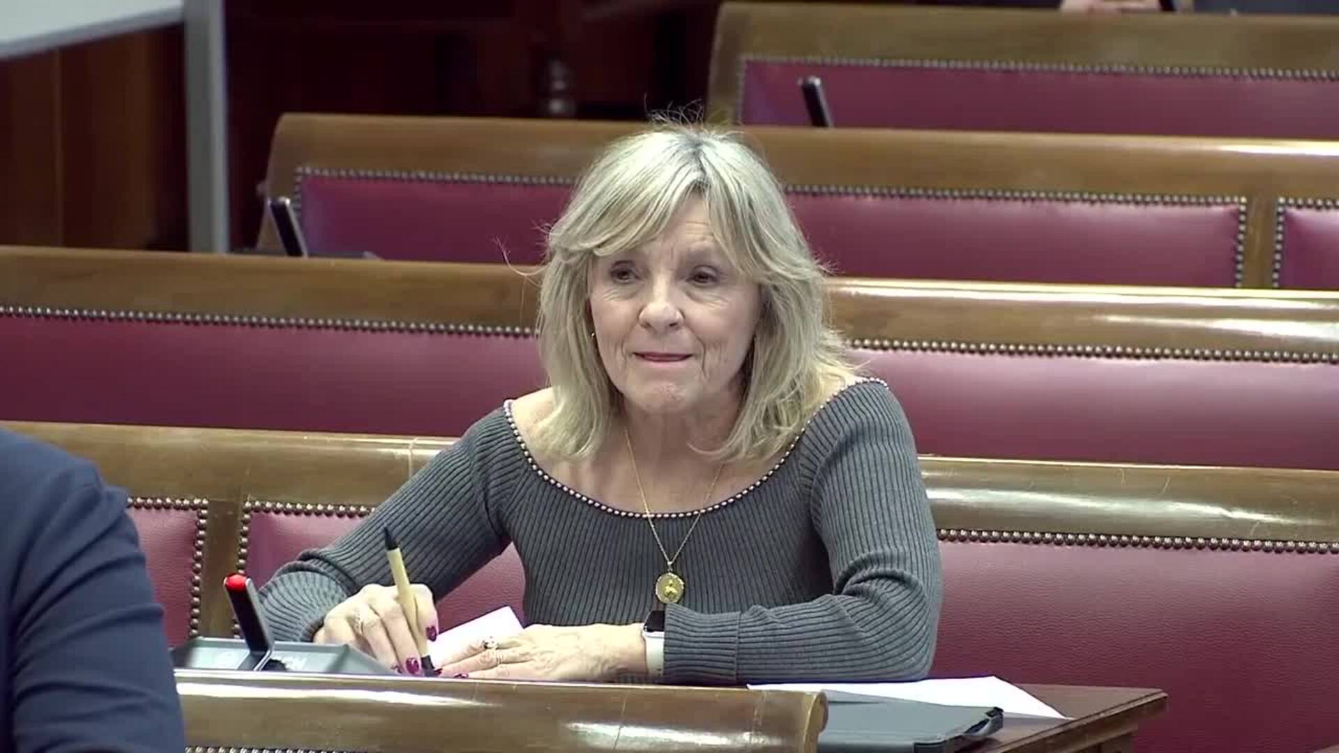 Suspendida la sesión en el Senado sobre 'caso Koldo': "Hasta que Reyes Maroto se calme"