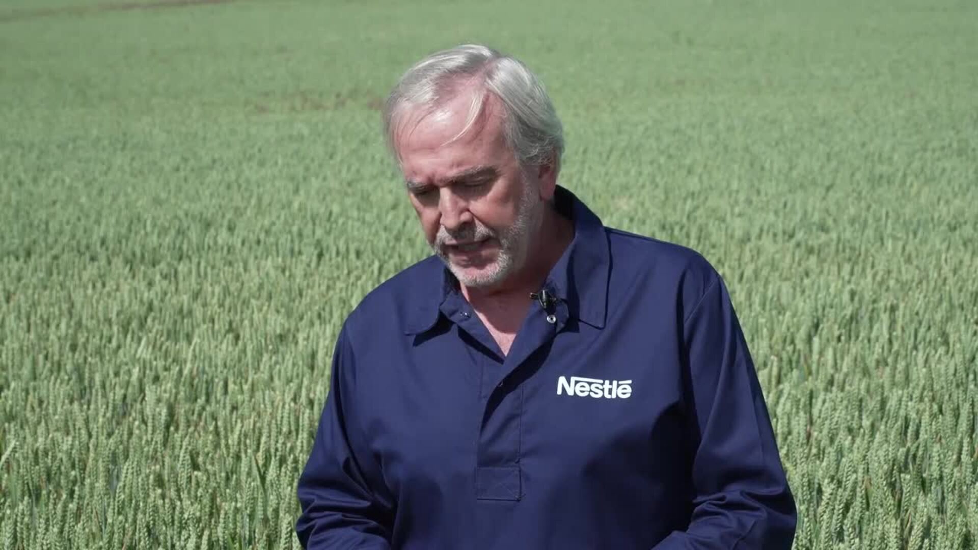 Los cereales de las papillas de Nestlé en España procederán de agricultura regenerativa