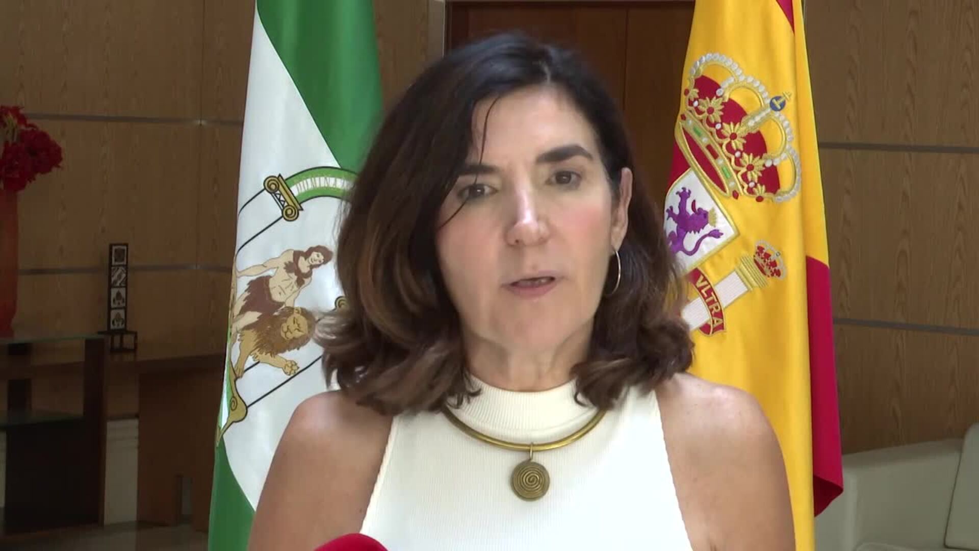 Empleo saluda la creación de la Confederación Andaluza de Comercio para "fortalecer al sector"