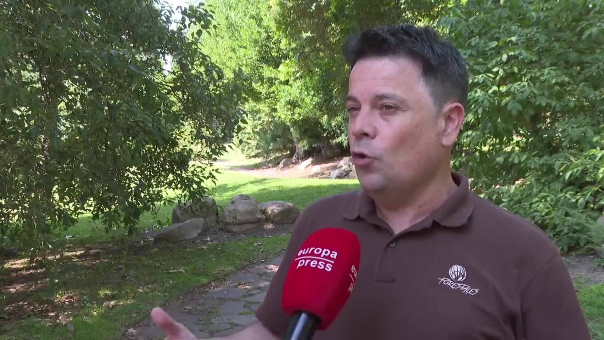 Las olas de calor intensifican la aparición de incendios forestales