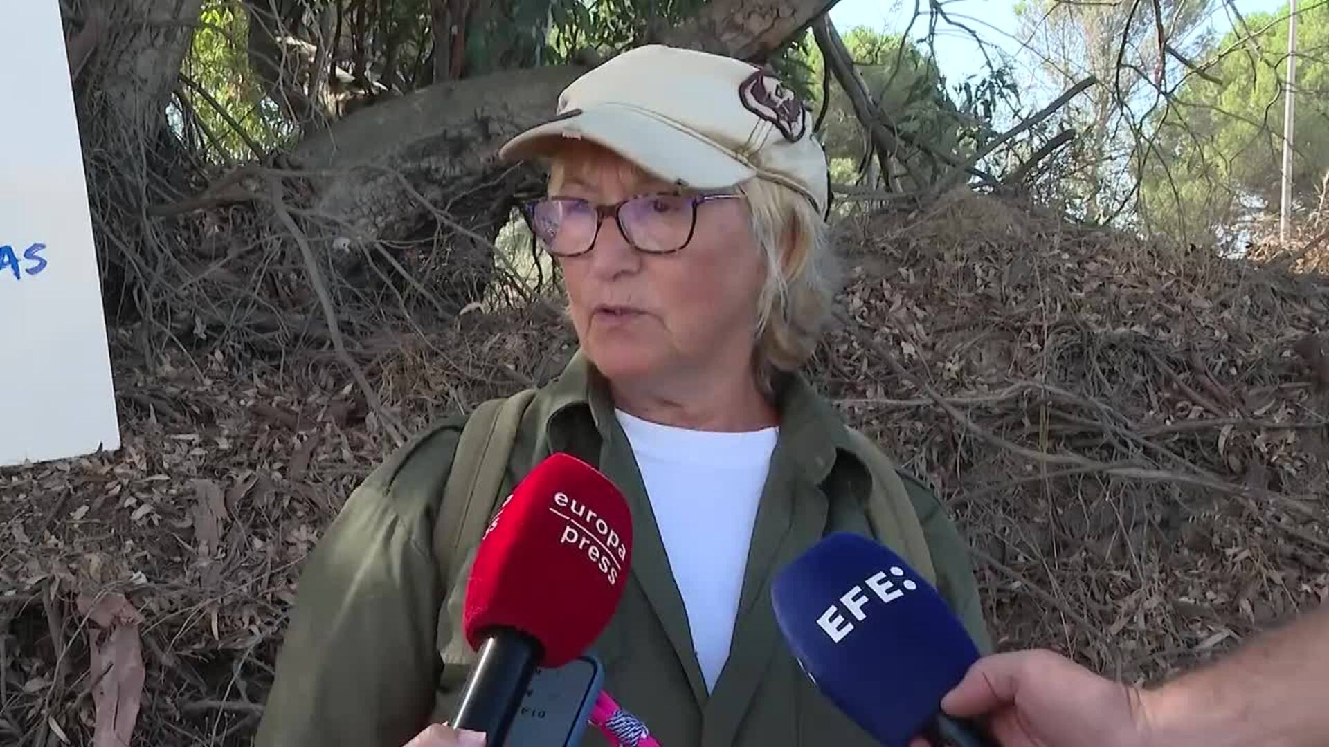 La asociación ‘Mujeres por Doñana’ rescata cinco erizos atrapados tras un incendio