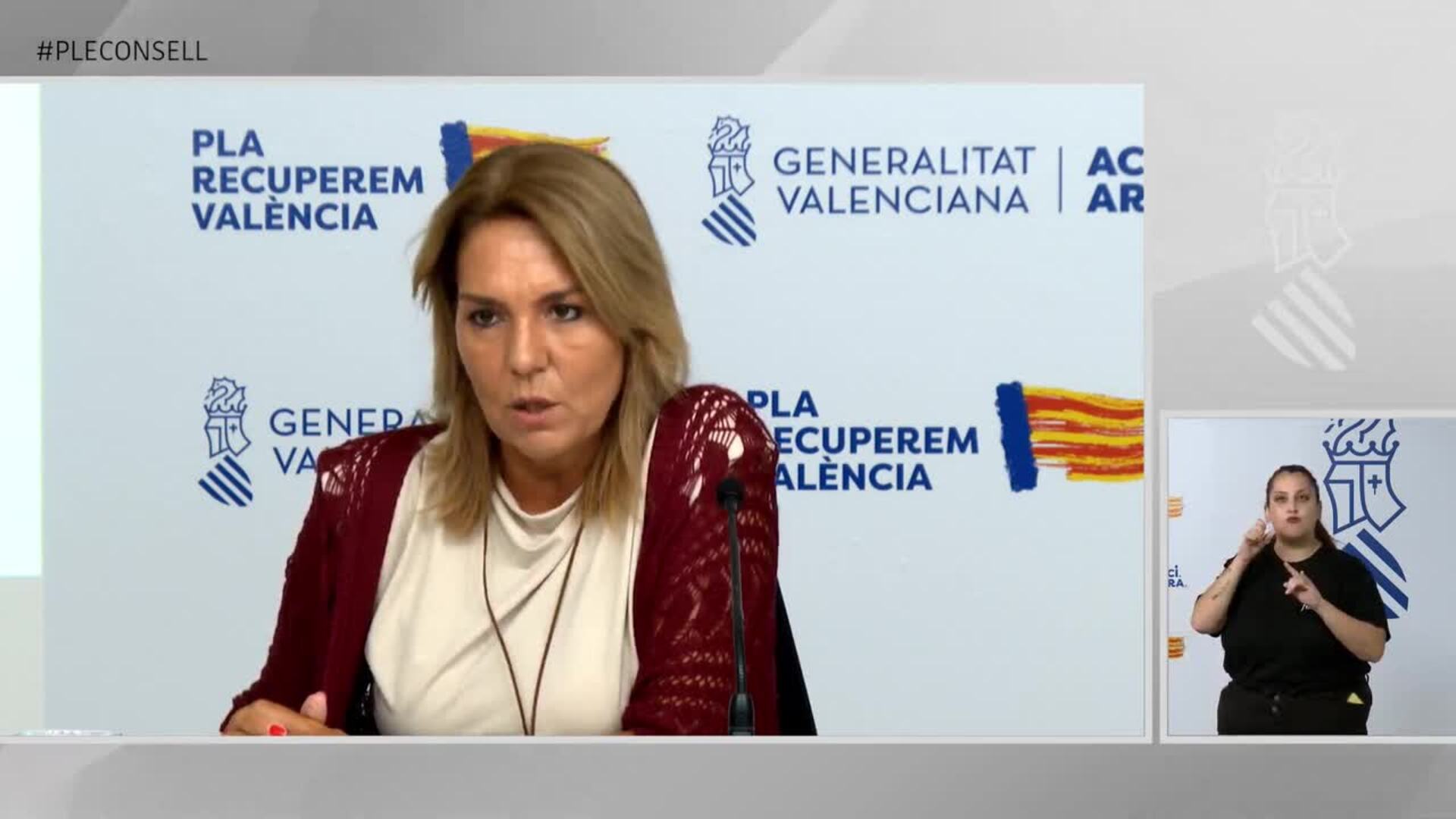 Camarero afirma que no es parte de Cecopi y cumplió su obligación el 29O