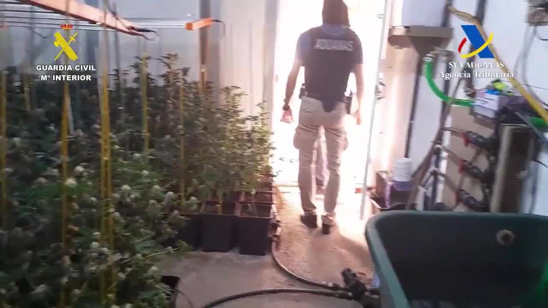 Nueve detenidos tras caer organización dedicada al tráfico de drogas y distribución a Europa