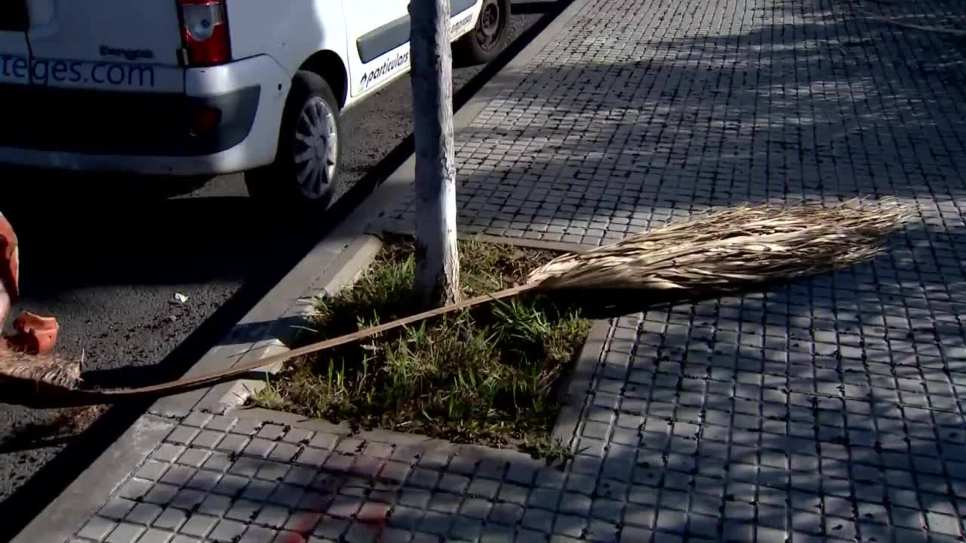 El teléfono de emergencias 112 recibe 1.195 llamadas por viento hasta las 16 horas en Catalunya