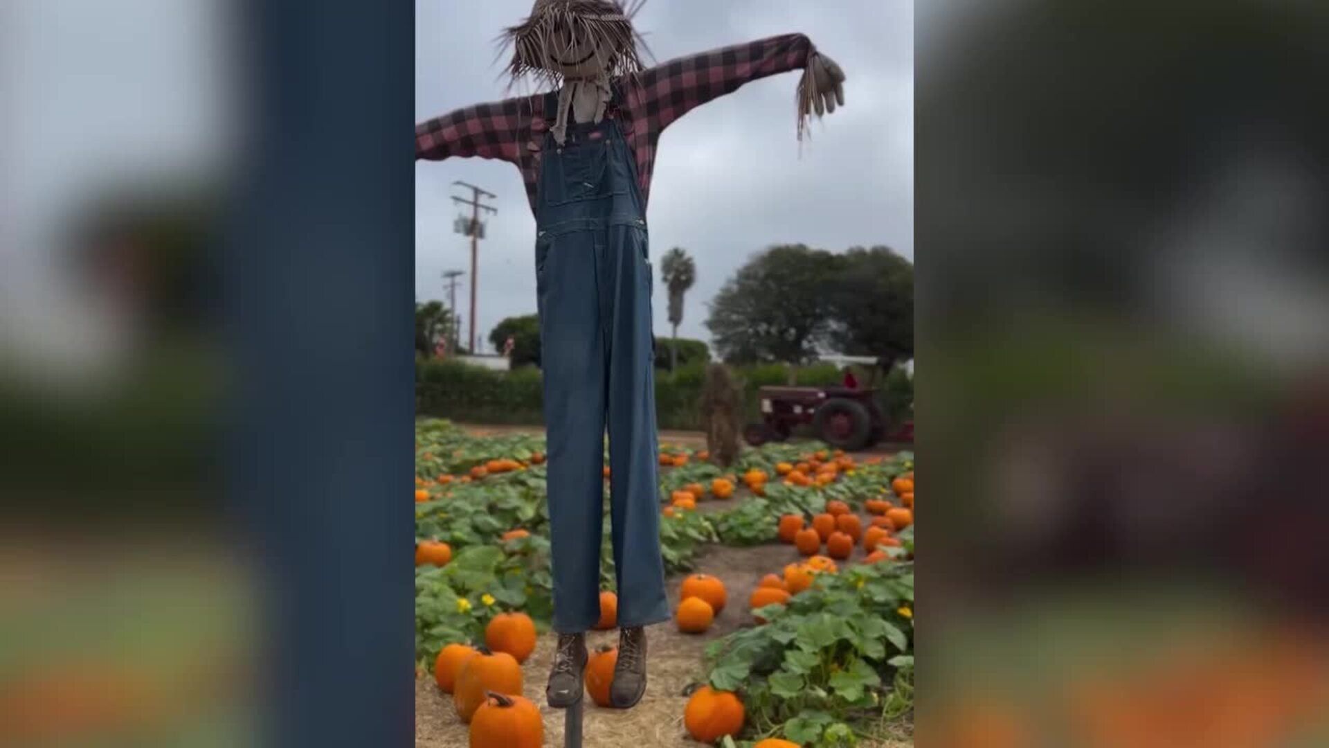 Meghan Markle y el príncipe Harry se adelantan a Halloween