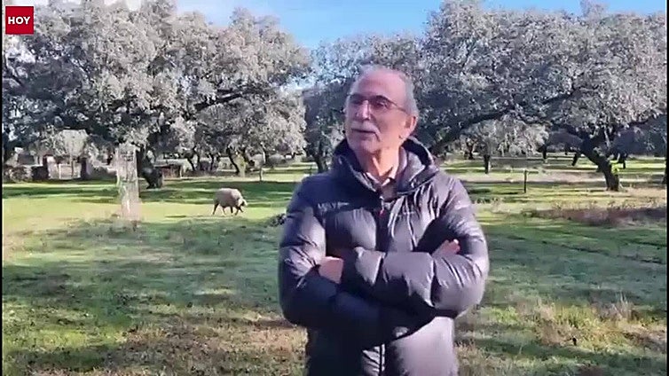 Una montanera soñada por los productores de ibérico