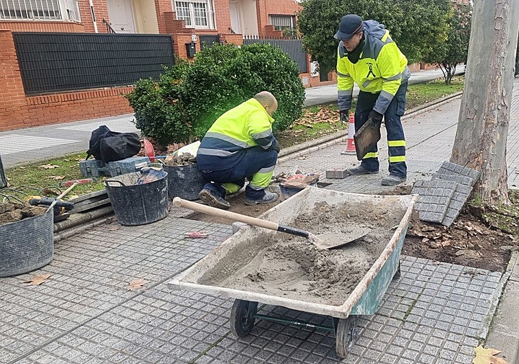 Operarios municipales arreglan la acera levantada en Ronda de los Eméritos