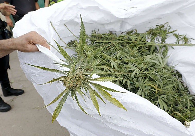 Piden 15 años de cárcel y multas millonarias para una macrored de narcopisos en Cáceres