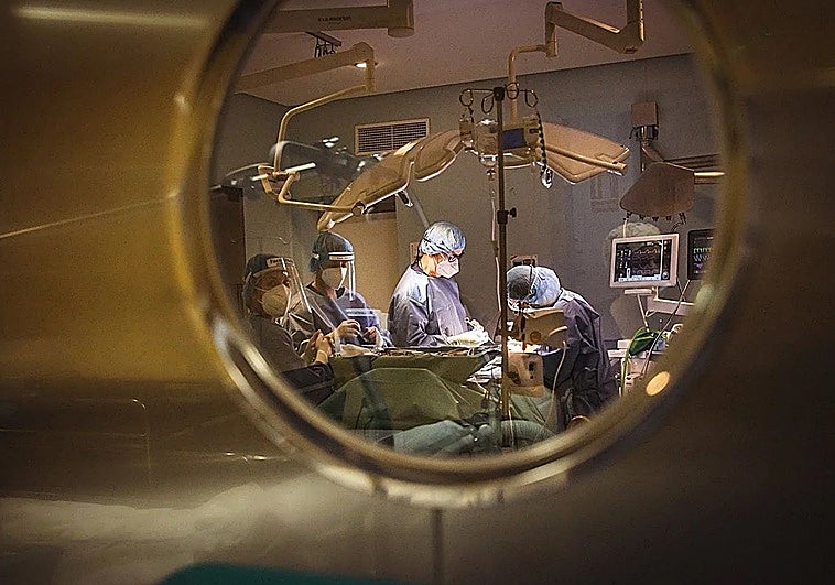 Extremadura registra el mayor incremento de seguros privados de salud de todo el país