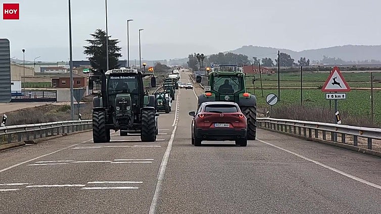 Los dirigentes agrarios se reunirán con la presidenta extremeña el martes