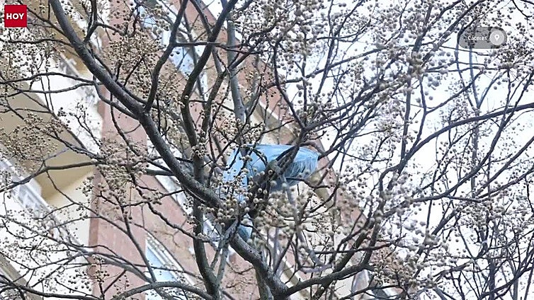 Hieren a un hombre con un plato lanzado desde un edificio en Cáceres