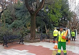 Fotos | Incidencias en Extremadura por la borrasca Joseph