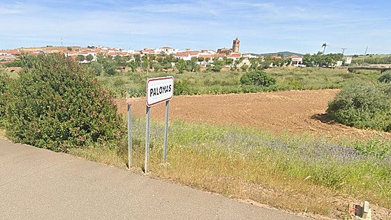 Muere una mujer en Palomas atropellada por un camión de butano