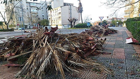 El temporal azota Cáceres