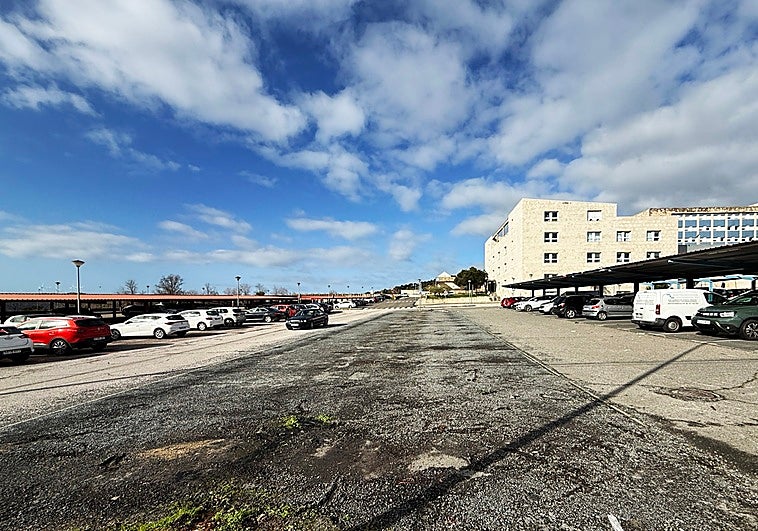 Plasencia estudiará pedir la declaración de zona catastrófica tras los daños por el viento