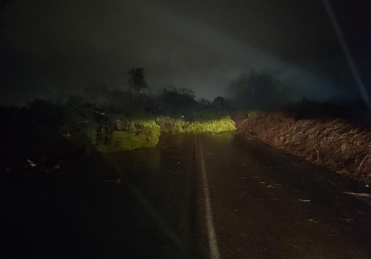 El temporal deja caídas de árboles y ramas en Badajoz y cortes de luz en pedanías