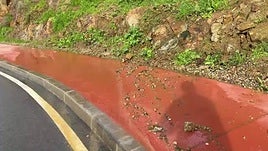 La nueva avenida Roberto Iniesta de Plasencia lleva meses convertida en un manantial de agua