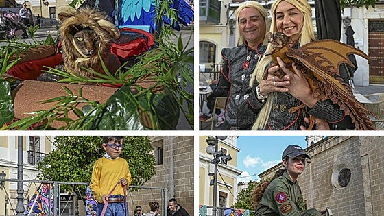 El Carnaval de Badajoz 2026 también se vive a cuatro patas: tres ideas infalibles para disfrazar a tu mascota