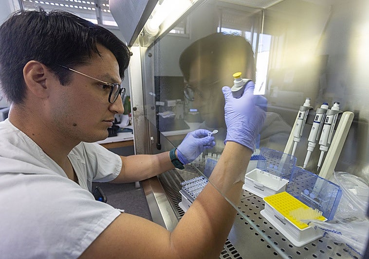 Extremadura diagnostica más de 6.000 casos de cáncer al año, con el colorrectal a la cabeza