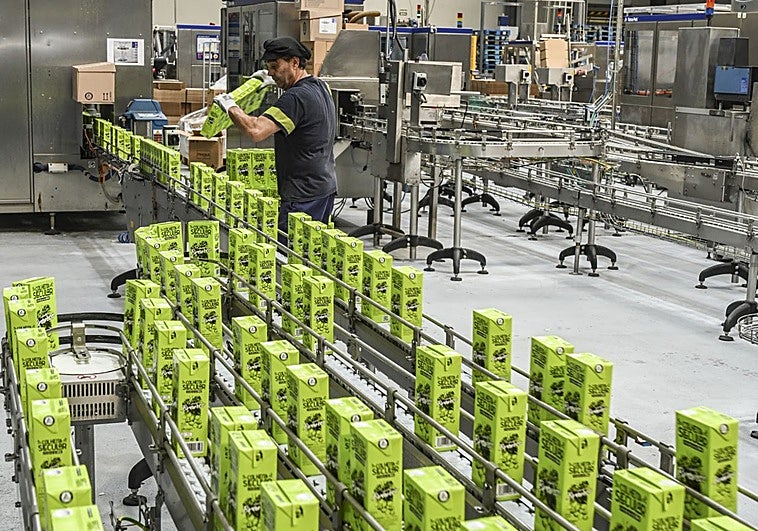 La bodega López Morenas plantea un ERTE para 40 de sus empleados