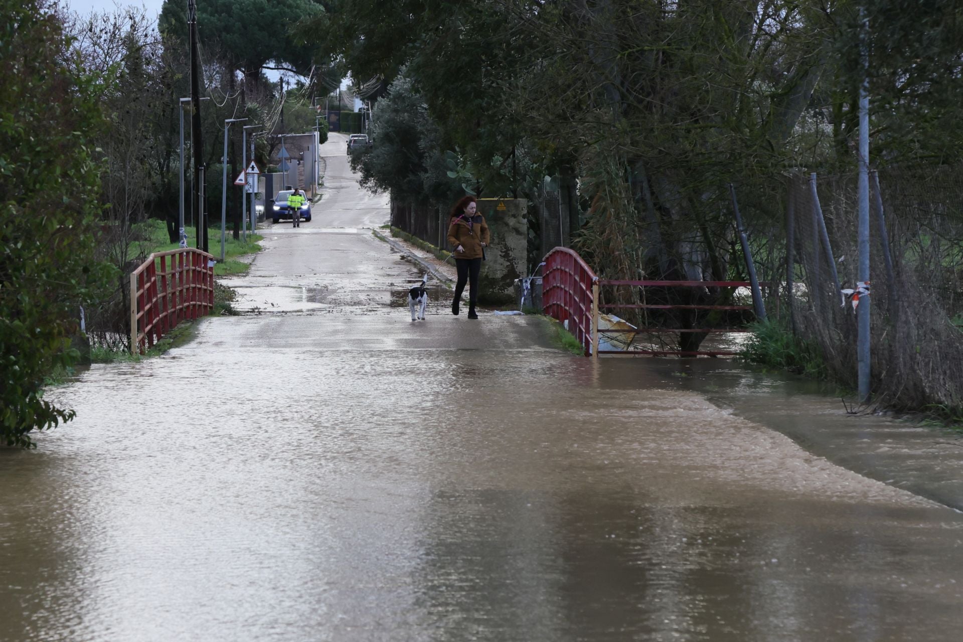 Fotos | Efectos de la borrasca Leonardo a su paso por Extremadura