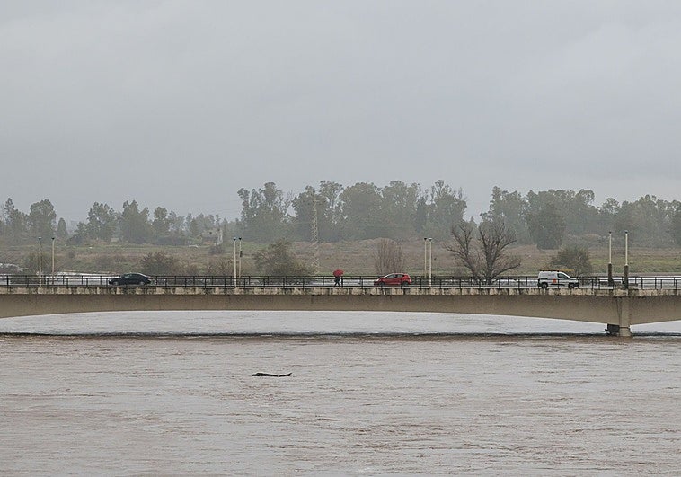 El alcalde avisa de que puede haber complicaciones en Badajoz por el agua