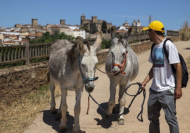 Los Amigos de la Ribera del Marco piden ayuda para localizar al burro Espinete, desaparecido en Cáceres