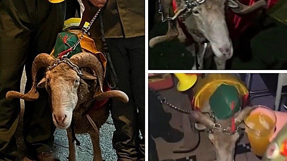 «Bochornoso»: una asociación denuncia el uso de un carnero en el Carnaval y señala al Ayuntamiento de Valencia de Alcántara