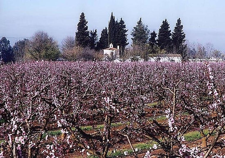 Seis planes para disfrutar este fin de semana en Extremadura