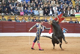Manzanares en el ruedo oliventino