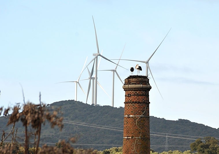 Extremadura generó en 2025 seis veces más energía de la que consumió