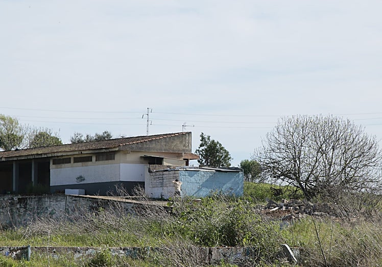 Parte del campo que aún sigue en pie y donde todavía viven okupas, como se aprecia en la imagen