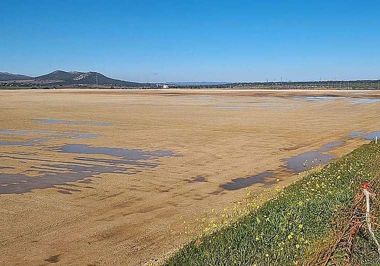 Pide permiso ambiental la multinacional china de gas prevista en ExpacioMérida