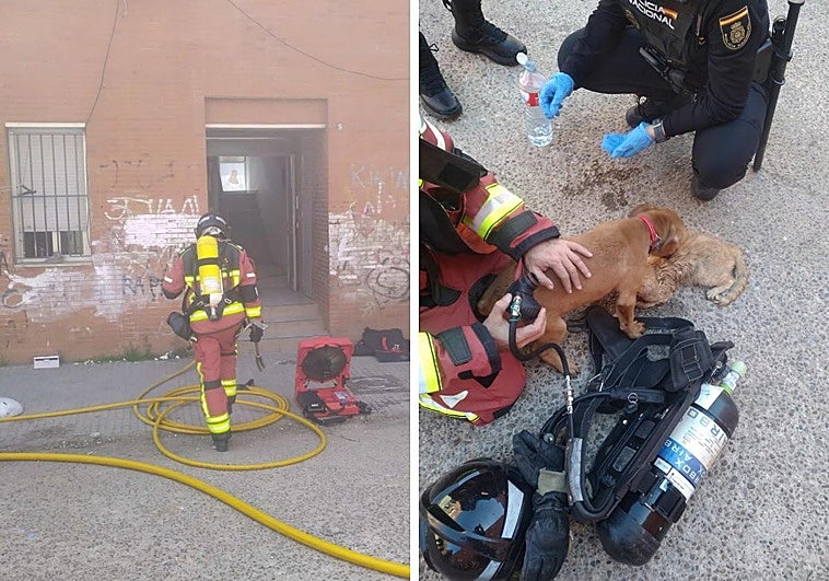 Los bomberos salvan a cinco mascotas en el incendio de un bajo en Badajoz