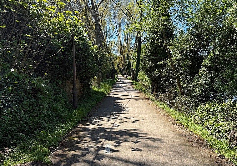Un hombre de 75 años muere tras precipitarse al río Jerte a su paso por Plasencia