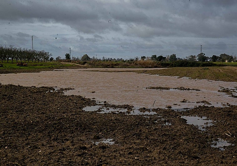 La Junta flexibiliza los requisitos para cobrar la PAC a causa de las borrascas