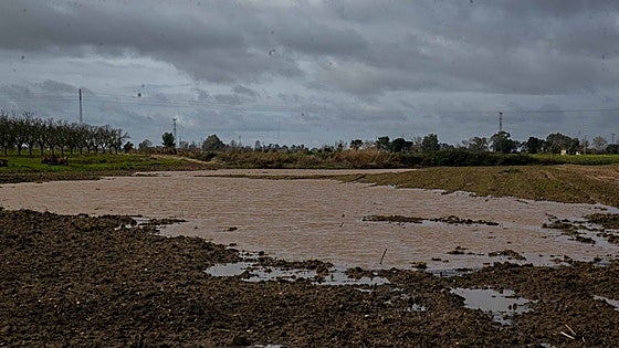 La Junta flexibiliza los requisitos para cobrar la PAC a causa de las borrascas