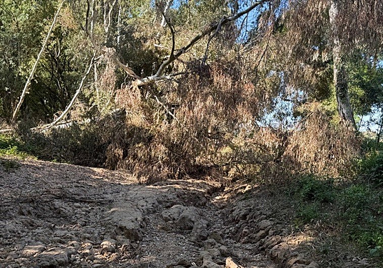 Las borrascas del invierno dejan impracticable el camino del puente de Cantillana