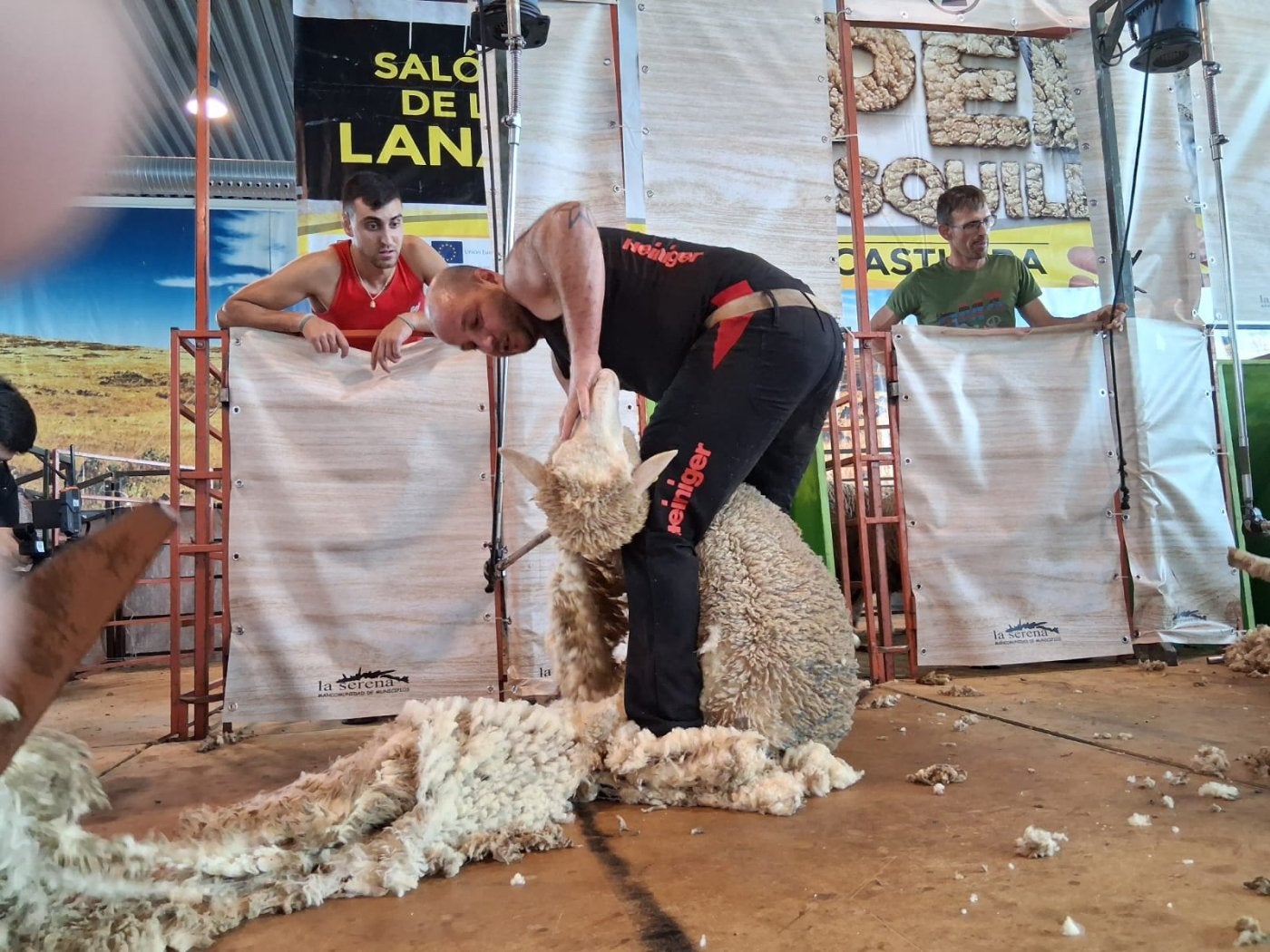 Calvo Almena revalida su título en el Campeonato de Merinas XVI Open de Esquileo